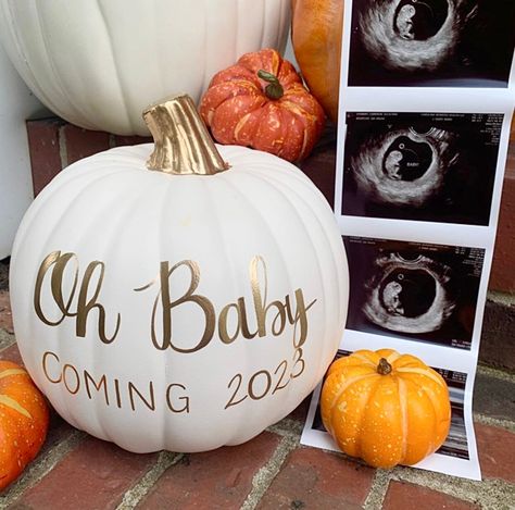 Fall Baby Shower Decorations, Personalized Pumpkins, Pumpkin Gender Reveal, Gender Reveal Decorations, Faux Pumpkins, Blue Pumpkins, Baby Gender Reveal, Baby Reveal, Baby Shower Fall