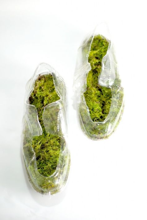 if you can't go to the forest, the forest will come to you Moss Shoes, City And Nature, Natures Path, Growth And Decay, Design Textile, Ap Art, Nature Crafts, Soft Sculpture, Mold Making