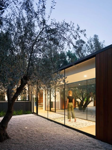 Assembledge+ Designs Three-Pavilion Laurel Hills Residence in Los Angeles Glass Walkway, Cedar Paneling, Garage Guest House, Los Angeles Design, Outdoor Patio Space, Glass Walls, Courtyard Garden, Design Milk, Glass House