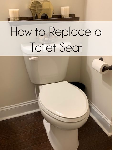 How to replace a toilet seat. Replacing Toilet, Vogue Decor, Replace Toilet, Cozy Cottage Kitchen, Sanitary Towels, Newborn Schedule, Classy Business Outfits, Too Loud, New Toilet