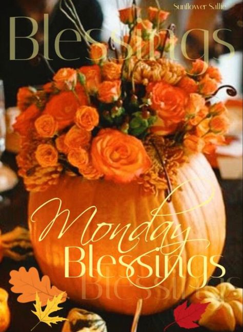 Happy Saturday Quotes, Weekend Greetings, Saturday Quotes, Monday Blessings, Blessed Quotes, Fall Pictures, Coral Orange, Good Morning Greetings, Morning Greeting