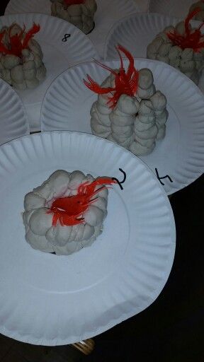 Louisiana Theme- Crawfish Mudholes/Chimneys made from clay Louisiana Crafts For Preschool, Louisiana Crafts For Kids, Louisiana Crafts, Playground For Adults, Mardi Gras Activities, 15 Party Ideas, Mardi Grad, 8th Grade History, Louisiana Culture