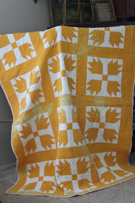 shabby vintage hand-stitched bear paw pattern quilt, mustard gold & white cotton Yellow And White Quilts, Blue Yellow Quilt, Bear Paw Quilts, Mustard Quilt, Cheddar Quilts, Reproduction Quilts, Bear Paw Quilt, Advanced Sewing, Two Color Quilts