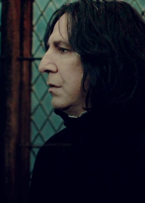 Alan Sidney Patrick Rickman as Professor Severus Snape Professor Severus Snape, Alan Rickman, Severus Snape, A Man, Hair