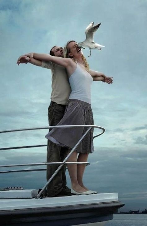 Bird Attack, Perfectly Timed Photos, 웃긴 사진, Funny Couples, Can't Stop Laughing, Memes Humor, Angry Birds, Funny People, Titanic