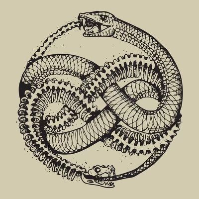 Gordian Knot, Ouroboros Tattoo, Serpent Tattoo, Dark Art Tattoo, Tattoo Style Drawings, Symbol Tattoos, Tattoo Art Drawings, Snake Tattoo, Black Ink Tattoos