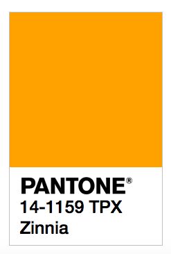 Zinnia pantone swatch Pantone Swatch, Pantone Orange, Pantone Swatches, Pantone Color, Retail Logos, Color Palette, Orange, Color, Art