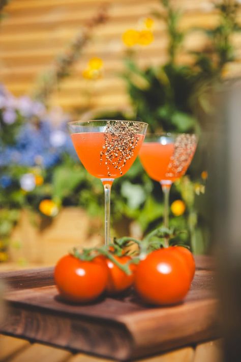 The Best Tomatini I Georgie Eats Tomato Martini Recipe, Tomatini Cocktail, Tomato Martini, Tomato Cocktail, Tomato Dinner, Bread Dipping Oil, Cool Cocktails, Winter Breakfast, Tomato Vine