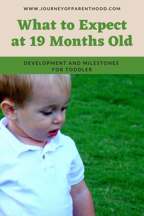 What to expect at 19 months old - development and milestones to look for with your toddler and how to know if he or she is on target and meeting their milestone markers. #toddlerboy #toddlerlife #toddlerdevelopment 10 Month Milestones, Developmental Milestones Chart, 19 Month Old, Milestone Chart, Life With A Newborn, Milestone Markers, Toddler Milestones, Teaching Manners, Guess Kids