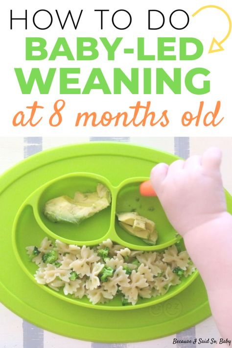 Easy Meal Ideas for an 8 Month Old | What to feed an 8 month old using baby-led weaning | 8 month old feeding schedule | 8 month old meal ideas | #babyledweaning #selffeeding #8monthold #feedingschedule #howto #nutritious #firstfoods Feeding 9 Month Old, What To Feed 8 Month Old, Good Ideas For 8 Month Old, 8 Month Old Solid Food Ideas, Baby Led Weaning 8 Months Old, Feeding Schedule 8 Month Old, 8 Months Baby Food Recipes, Blw Dinner 8 Months, 8 Month Feeding Schedule