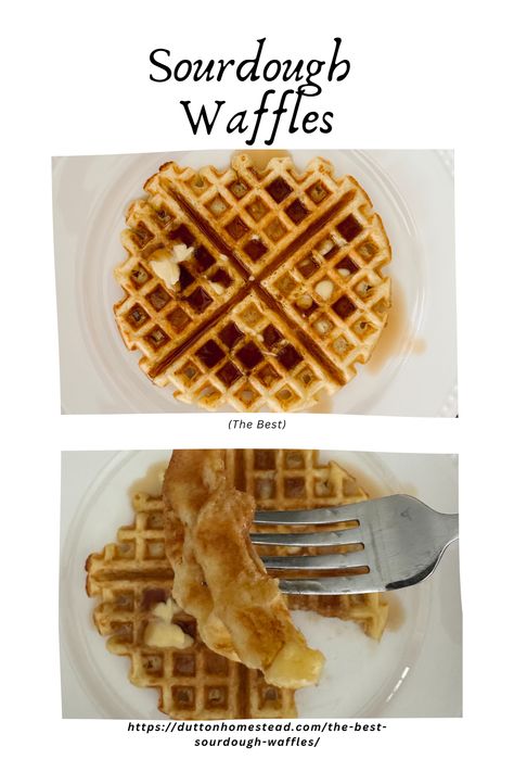 This is a delicious and easy sourdough waffle recipe! The perfect family breakfast, and the leftovers reheat wonderfully! Discard Waffles Easy, Sourdough Discard Waffles Quick, Sourdough Discard Waffles, Discard Waffles, Sourdough Waffle Recipe, Buckwheat Waffles, Sourdough Waffles, Sourdough Breakfast, Cinnamon Waffles