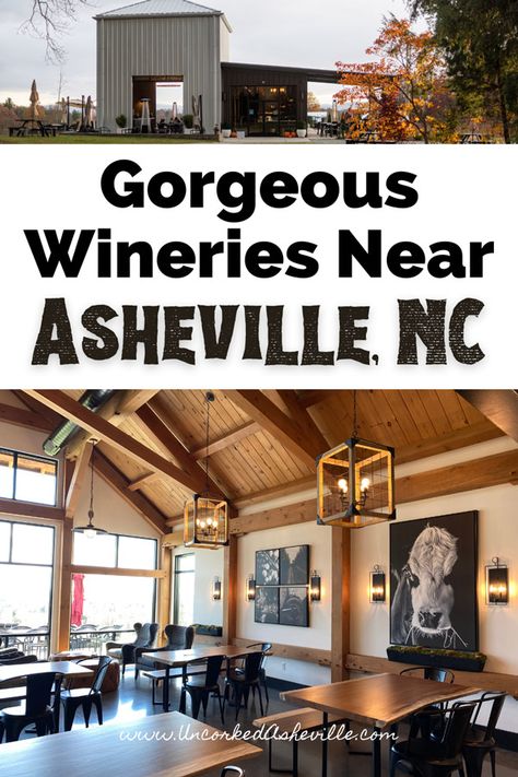 Are you looking for the best Asheville wineries and wineries near Asheville, North Carolina? Explore some of our favorite wineries in Asheville, NC like pleb urban winery and Biltmore, along with the Hendersonville wineries. We'll also share Asheville wine bars as locals. Asheville Things To Do, Urban Winery, Asheville Breweries, Ashville North Carolina, North Carolina Attractions, Black Mountain Nc, North Carolina Vacations, North Carolina Travel, Eagle Mountain