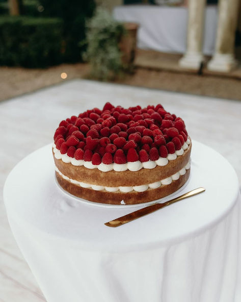 Celeste Scott - Hunter Valley Wedding Cake Designer | You know I love a minimalist vibe but sometimes more is more and one layer of raspberries just isn’t enough! Shot by… | Instagram Wedding Cake Raspberry, Berry Wedding Cake, Wedding Sheet Cakes, Raspberry Wedding, Italian Wedding Cakes, Cake Tips, Hunter Valley Wedding, Small Wedding Cakes, Minimalist Vibe