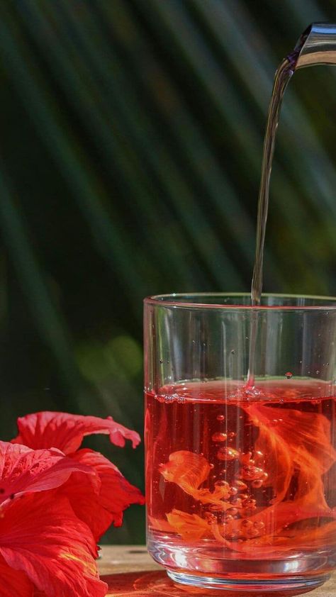 Hibiscus tea: 5 reasons why it’s a super drink for your health Hibiscus Tea Benefits, Hibiscus Plant, Healthy Teas, Hibiscus Tea, Beta Carotene, Liver Health, Disease Prevention, Lower Blood Pressure, Health Conditions