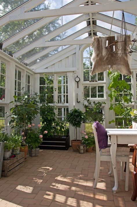 Greenhouse With Sitting Area, Seasonal Room, Window Greenhouse, Patio Layout, Greenhouse Shed, Enclosed Patio, Backyard Greenhouse, Home Decor Idea, Kitchen Home Decor