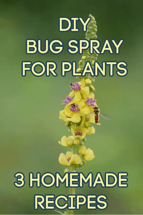 Aphid Spray Homemade, Natural Bug Killer, Homemade Bug Spray Recipe, Bug Spray For Plants, Aphid Spray, Kill Weeds Naturally, Bug Repellent Spray, Homemade Bug Spray, Get Rid Of Aphids