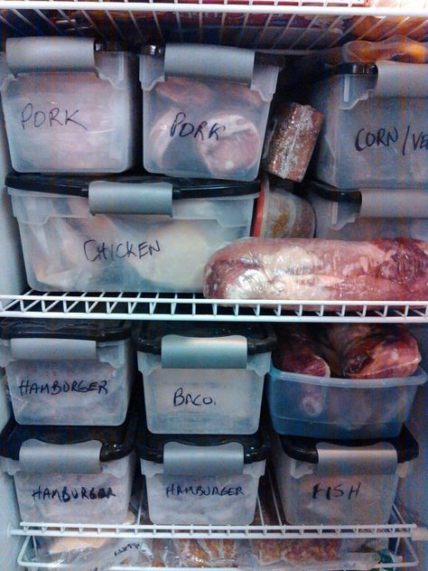 Bulk Shopping, Food Shopping List, Food Sculpture, Freezer Storage, Thrifty Living, Kitchen Organization Pantry, Kitchen Organisation, Food Insecurity, Bulk Food