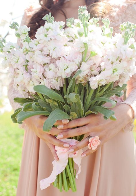 Light Pink Bouquet Stock Flower, Regency Romance, Sakura Flower, Bridal Wedding Rings, Bouquet Design, Holding Flowers, Flowers For You, Trendy Flowers, Beautiful Bouquet