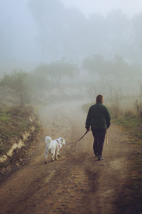 Dog Walking Aesthetic, Playing With Dog, Walking Photo, A Person Walking, Walking A Dog, Walk Dog, Person Walking, College Projects, Walking People