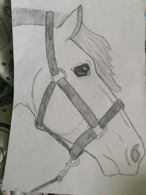 Simple Horse Drawing Sketches, Horse Drawing Easy Simple, Horse Shoe Drawing Easy, Drawing Ideas Horse, Horse Drawing Easy, Horse Tattoo Ideas, Easy Horse Drawing, Horse Doodle, Whale Sketch