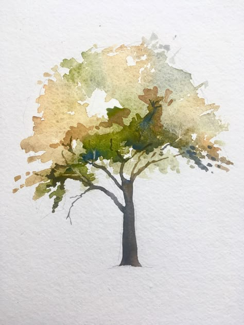 Watercolour Tree, Tree In Autumn, Boom Kunst, Tree Watercolor Painting, Step By Step Watercolor, Tree Watercolor, Painting Water, Watercolor Tree, Autumn Tree