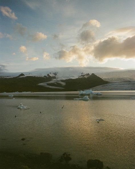 dreamscapes from Iceland 🌙💫✨ #analogphoto Iceland On Film, Film Photos, Film Photography 35mm, Exotic Places, Adventure Photography, Mountain Top, On Film, Beach Aesthetic, Photography Portfolio