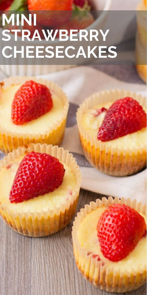 These Mini Strawberry Cheesecake bites are so simple and easy to make. The perfect dessert recipe for a pitch-in, potluck or holiday party. A soft graham cracker crust is paired with a smooth, rich cheesecake layer that is infused with fresh strawberries. Mini Strawberry Cheesecake, Mini Cheesecake Bites, Strawberry Cheesecake Bites, Comfort Food Desserts, Rich Cheesecake, Cheesecake Layer, Dessert Recipies, Dessert Bites, Christmas Cake Recipes