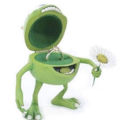 Mike Wazowski, Engagement Ring Box, Green Frog, Wedding Ring Box, Monsters Inc, Shrek, Funny Me, Reaction Pictures, Mood Pics