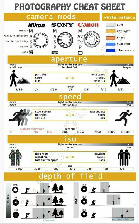 Photography Infographic, Beginner Photography Camera, Camera Basics, Photography Rules, Manual Photography, Digital Photography Lessons, Dslr Photography Tips, Beginner Photography, Photography Settings