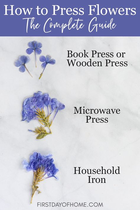 Get this beginner's guide to pressing flowers and see how each method compares. Learn the advantages and drawbacks of each type of flower pressing to decide which one is right for you. #pressedflower #pressedflowerart #flowerpress #flowercraft #firstdayofhome How To Press Flowers Quickly, How Press Flowers, Pressed Flower Bridal Bouquet, How To Do Pressed Flowers, Diy Flower Pressing, Diy Pressing Flowers, Drying And Pressing Flowers, Pressed Flowers How To, Best Way To Press Flowers