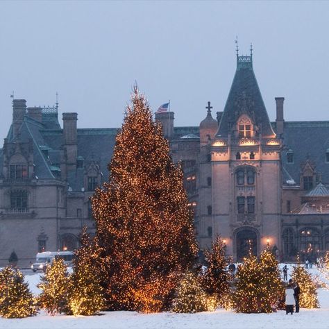 I here at the Biltmore Estate during Christmas it's so pretty. I luv #Christmas #Snow #Christmastree @Biltmore @northcarolinas I luv snow "The weather is so frightful but the fire is so delightful". Biltmore Estate Christmas, Biltmore Christmas, The Biltmore Estate, The Biltmore, Biltmore Estate, Christmas Snow, Deck The Halls, Pretty Places, Poster Board