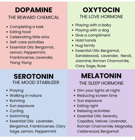 Serotonin Foods, Psychology Notes, Vetiver Essential Oil, Brain Facts, Mental Health Facts, Mental Health Therapy, Happy Hormones, Vie Motivation, Health Knowledge