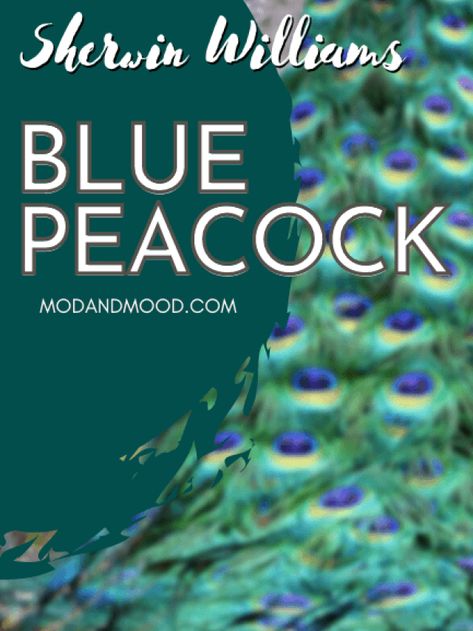 Sw Blue Peacock, Blue Peacock Sherwin Williams, Sherwin Williams Teal, Peacock Paint Colors, Watery Sherwin Williams, Peacock Blue Paint, Sherman Williams Paint, Blue Bedroom Paint, Sherwin Williams Blue