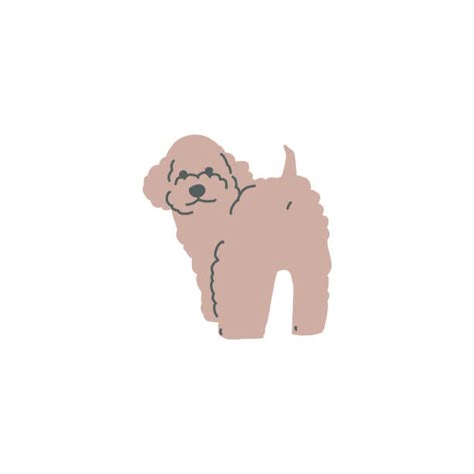 Poodle Illustration Cartoon, Small Dog Illustration, Poodle Dog Illustration, Poodle Illustration Cute, Cavapoo Illustration, Toy Poodle Drawing, Toy Poodle Tattoo, Toy Poodle Illustration, Poodle Outline