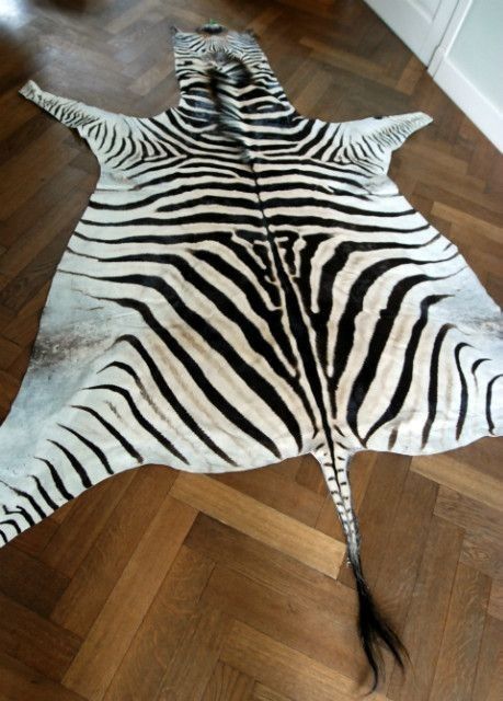 Nguni Cows, Crazy Grandma, Zebra Rug, Zebra Skin, Animal Head Wall, Tiger Rug, Colonial History, House Makeover, Africa Safari