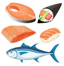 Salmon Illustration Design, Salmon Cartoon, Salmon Illustration, Salmon Drawing, Sushi Branding, Salmon Design, Cats Vector, Salmon Art, Web App Ui Design