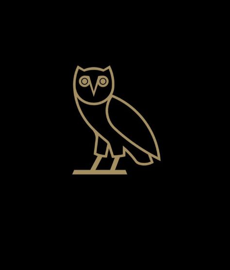 Drake Ovo Owl, Drake Owl, Drake Logo, Drake Music Video, Pop Culture Posters, Ovo Owl, Drake Rapper, Drake Ovo, Owl Posters