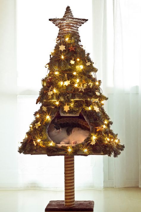 Cat Proof Christmas Tree, Diy Chat, Kat Diy, Diy Cat Tree, Cat House Diy, Cat Proofing, Cat Christmas Tree, Christmas Tree With Gifts, Cat Diy