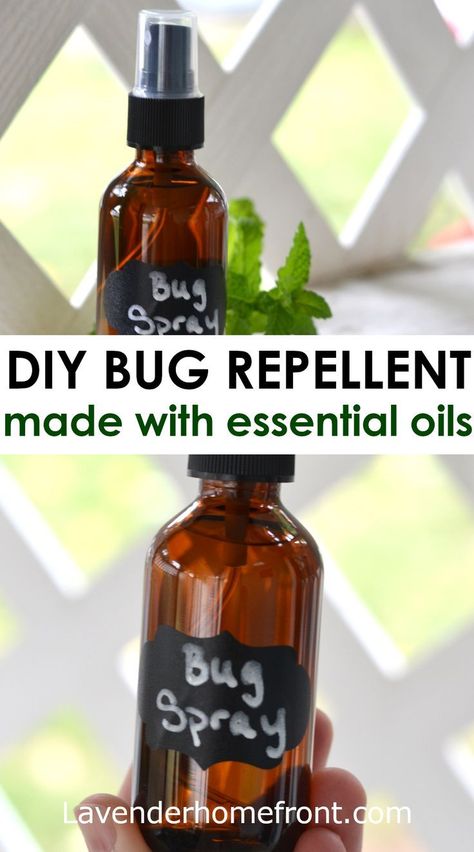 Essential Oil Bug Repellent, Insect Repellent Essential Oils, Gnat Trap, Homemade Bug Repellent, Essential Oil Bug Spray, Diy Bug Repellent, Bug Repellant, Diy Bug Spray, Bug Spray Recipe