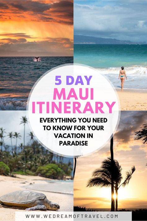 🏝 Perfect 5-Day Maui Itinerary for Your First Trip (2024) Swim With Sea Turtles, Hawaii Cruise, Maui Itinerary, Hawaii Itinerary, Hawaiian Travel, Trip Destinations, Red Sand, Maui Vacation, Us Road Trip