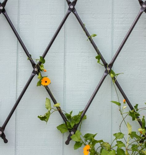 Crafted With A Wrought Iron Frame, Our Wall-Mounted Lattice Trellis Provides A Sturdy Structure For Plants And Growing Vines In A Traditional Lattice Design. Trellis Lighting, Trellis Ideas Garden, Outdoor Trellis Ideas, Iowa Garden, Boxwood Hedges, Garden Trellis Ideas, Iron Trellis, Wall Trellis, Lattice Wall