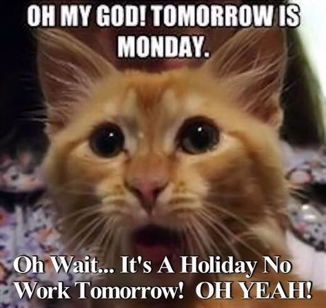 3 Day Weekend Quote Pictures, Photos, and Images for Facebook, Tumblr, Pinterest, and Twitter - 3 day weekend humor 3 Day Weekend Humor, 3 Day Weekend, Plan Image, Happy Weekend Quotes, Weekend Quotes, Weekend Humor, Cat Meme, Birthday Meme, Memes Humor