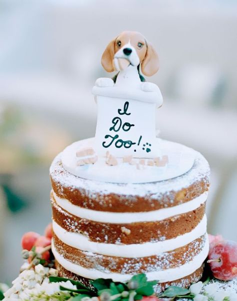 Couples Found A Way To Include Their Dogs Into Their Wedding And It’s Absolutely Pawsome | Bored Panda Grooms Cake Dog, Beagle Wedding, Beagle Cake, John Cake, Pooh Wedding, Wedding Cakes Dog, Dogs In Weddings, Cake Dog, Dog Cake Topper