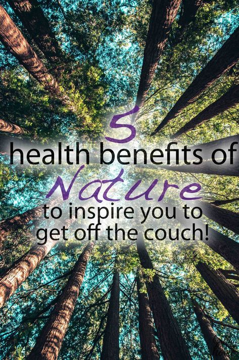 Benefits Of Being In Nature, How To Be More Connected To Nature, Hiking Benefits, Benefits Of Spending Time In Nature, Eco Therapy, Nature Wellness, Importance Of Nature, Nature Benefits, Benefits Of Nature