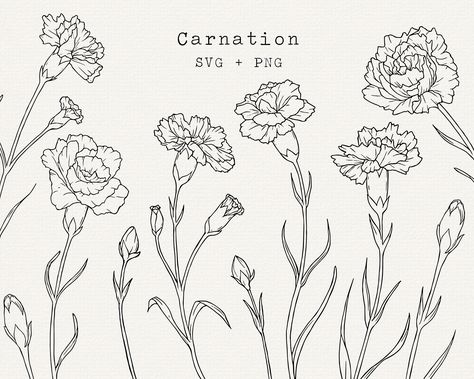 Carnation Vector, Simple Outline Drawing, Carnation Drawing, Carnation Flower Tattoo, Line Art Simple, Carnation Tattoo, Vine Drawing, Matching Friend Tattoos, Flower Line Art