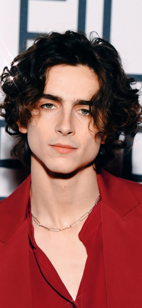 Timothée Chalamet Fondos, Edits - Página web de timothefotos Timothy Chamalet, Maggie Cheung, Capricorn Season, Sagittarius Season, Kpop News, Timmy T, Regulus Black, Red Wall, Beautiful Man