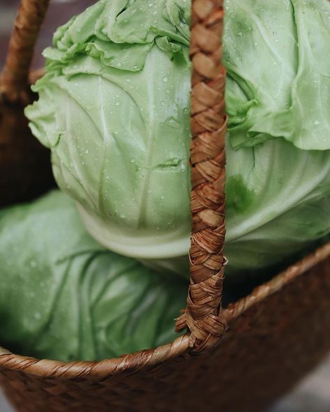 Cabbage Aesthetic, Vegetable Aesthetic, Vegetables Aesthetic, Vegetable Basket, Character Aesthetics, Cabbage Roses, Rose Cottage, Aesthetic Food, Aesthetic Wallpapers