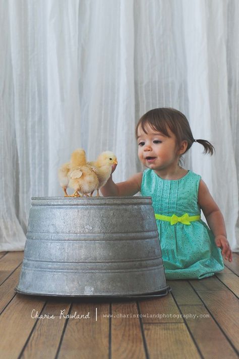 St. Louis children's photographer - Girls and their Chicks — The Rowlands | Destination Wedding Photographers + Adventure Elopements Baby Chicks Photography, Baby Easter Pictures, Easter Baby Photos, Baby Photography Ideas, Easter Photoshoot, Easter Photography, Baby Boy Announcement, Spring Pictures, Baby Chickens