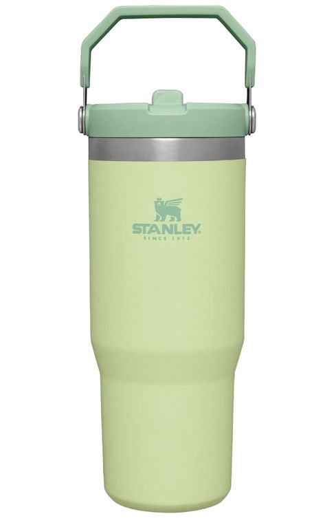 🏒 Elevate your drinkware game with the hottest trend in town – the viral Stanley Cup in Light Green! 🌟 Sip in style and show off your love for the game with this eye-catching and Instagram-worthy cup. Perfect for keeping your beverages cool while making a statement. Limited stock available, so grab yours now and join the trend! 🥂🏆 #StanleyCup #LightGreen #TrendyDrinkware #ThirstyForStyle #LimitedEdition #GameDayReady Light Green Stanley, Green Stanley, Stanley Green, Stanley Bottle, Green Water Bottle, Stanley Accessories, Stanley Iceflow, Trendy Water Bottles, Dream Items