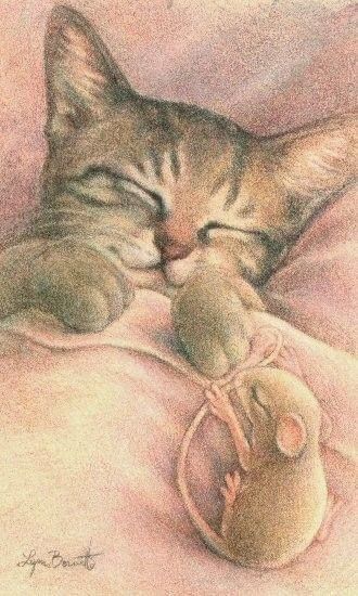 Pink Silk Sheets, Weight Drawing, Drawing Colored Pencil, Pencil Watercolor, Kitten Art, Cat Art Illustration, Silk Sheets, Cat And Mouse, Writing Coach